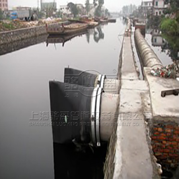 駱盈管道向金禾實(shí)業(yè)雙氧水項目配套鴨嘴閥