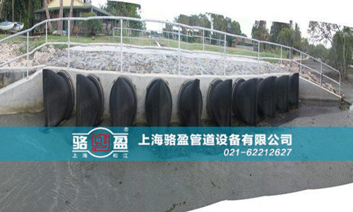 法蘭式<a href=http://www.dalian88.cn/ target=_blank class=infotextkey>橡膠鴨嘴閥</a>的特點